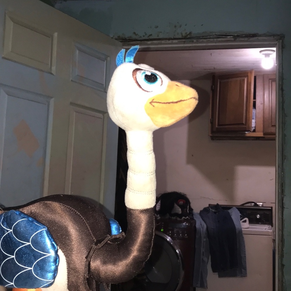 Duck